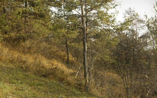 Taubenloch 26.11.2011